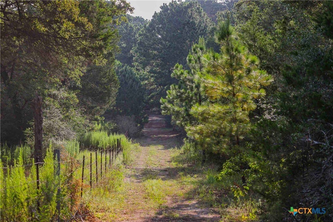 40 acres in Bastrop County - photo 3