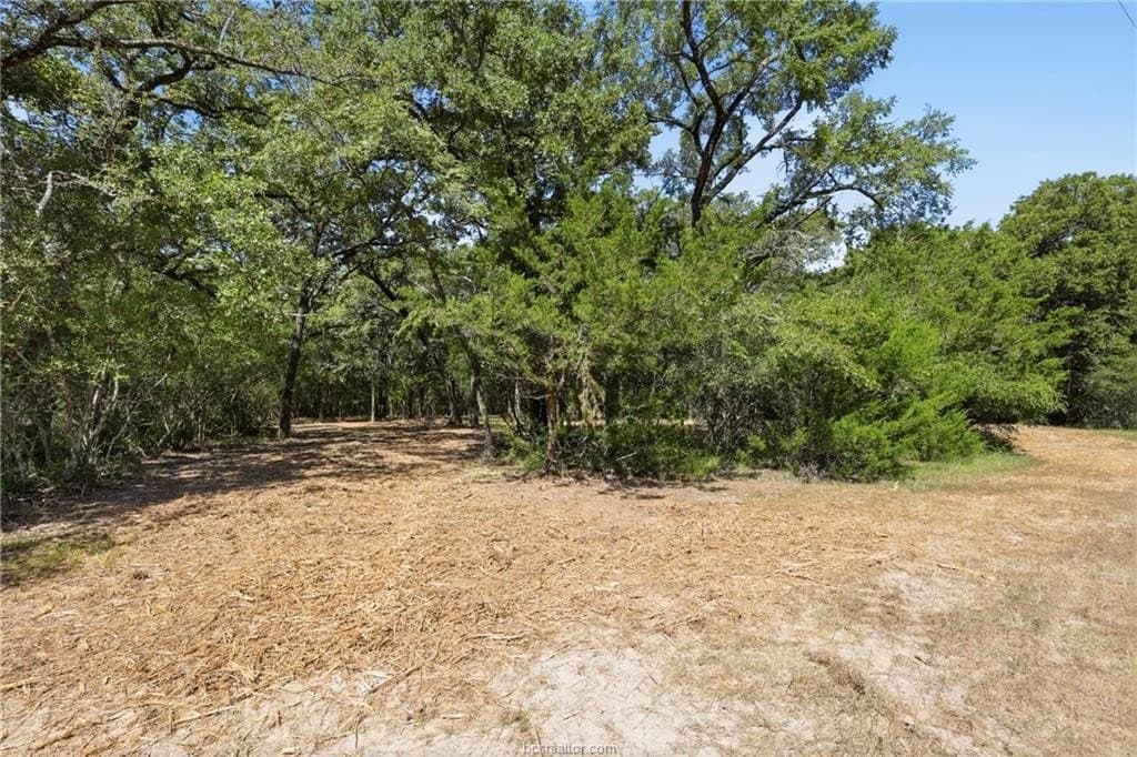 4 acres in Brazos County gallery image 3