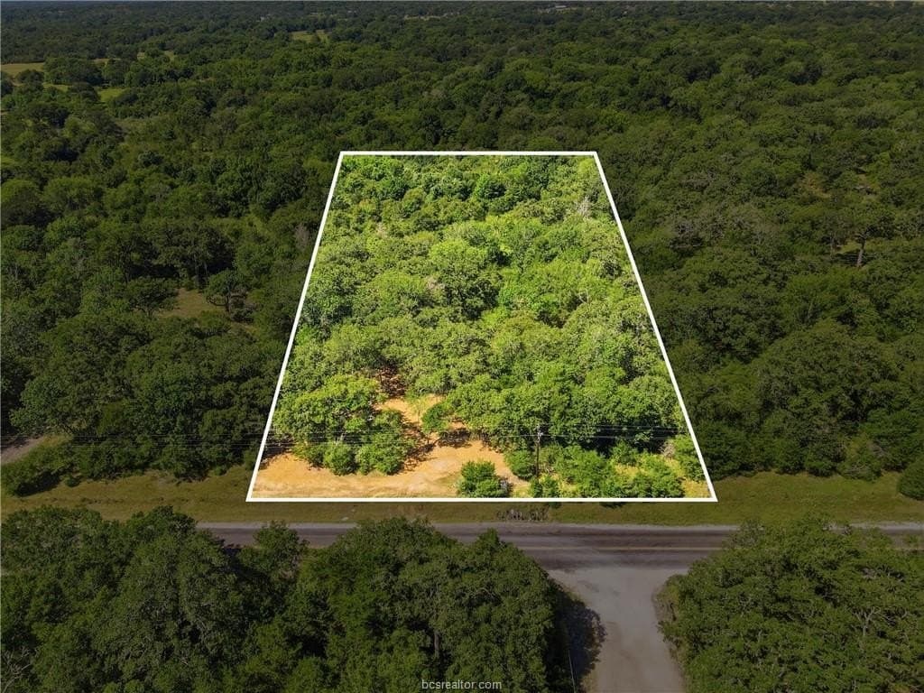 4 acres in Brazos County gallery image 2