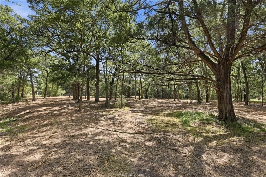 4 acres in Brazos County featured view
