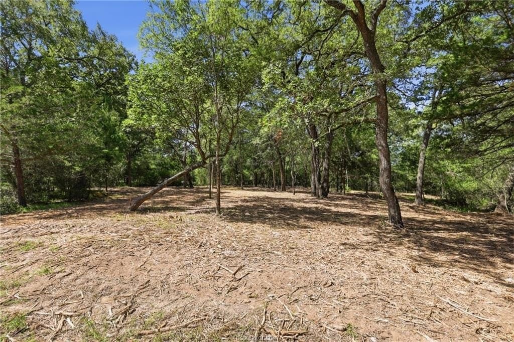 4 acres in Brazos County gallery image 4