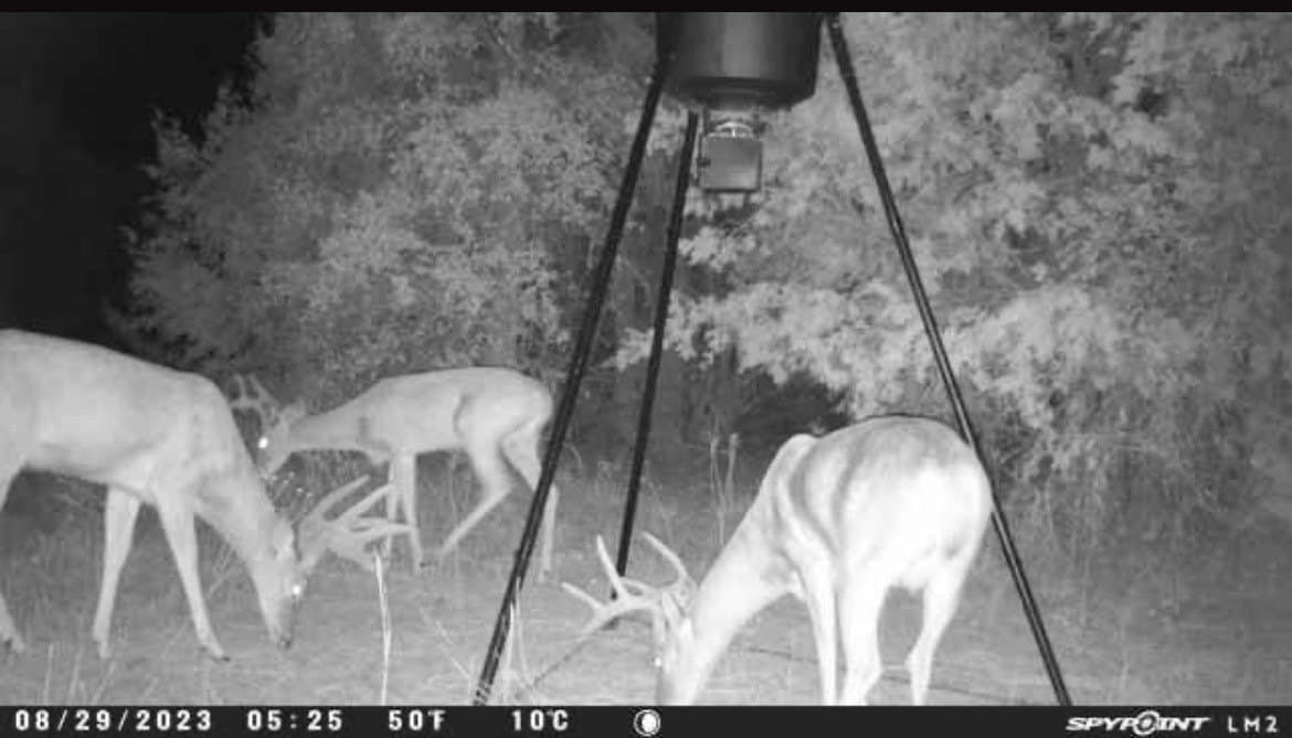 18.74 acres in Palo Pinto County - photo 19
