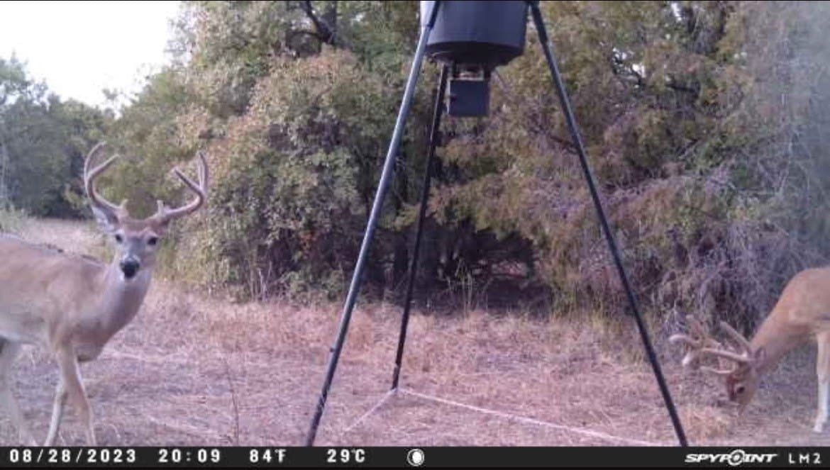 18.74 acres in Palo Pinto County - photo 18