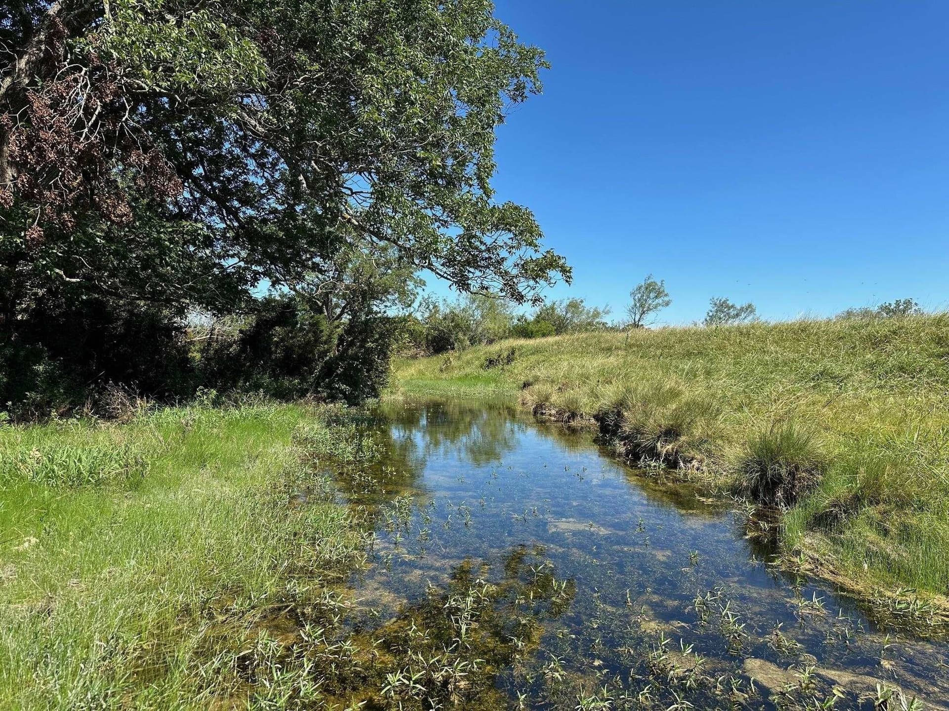 32 acres in Burnet County gallery image 4