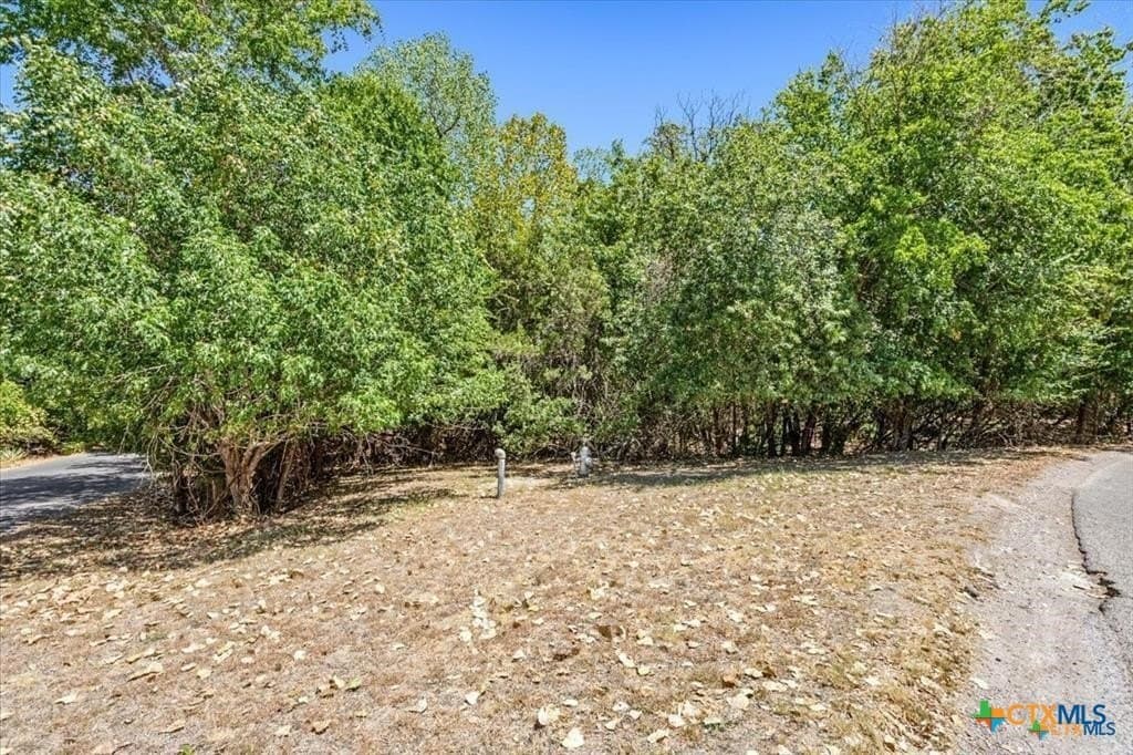 0.87 acres in Bell County gallery image 3