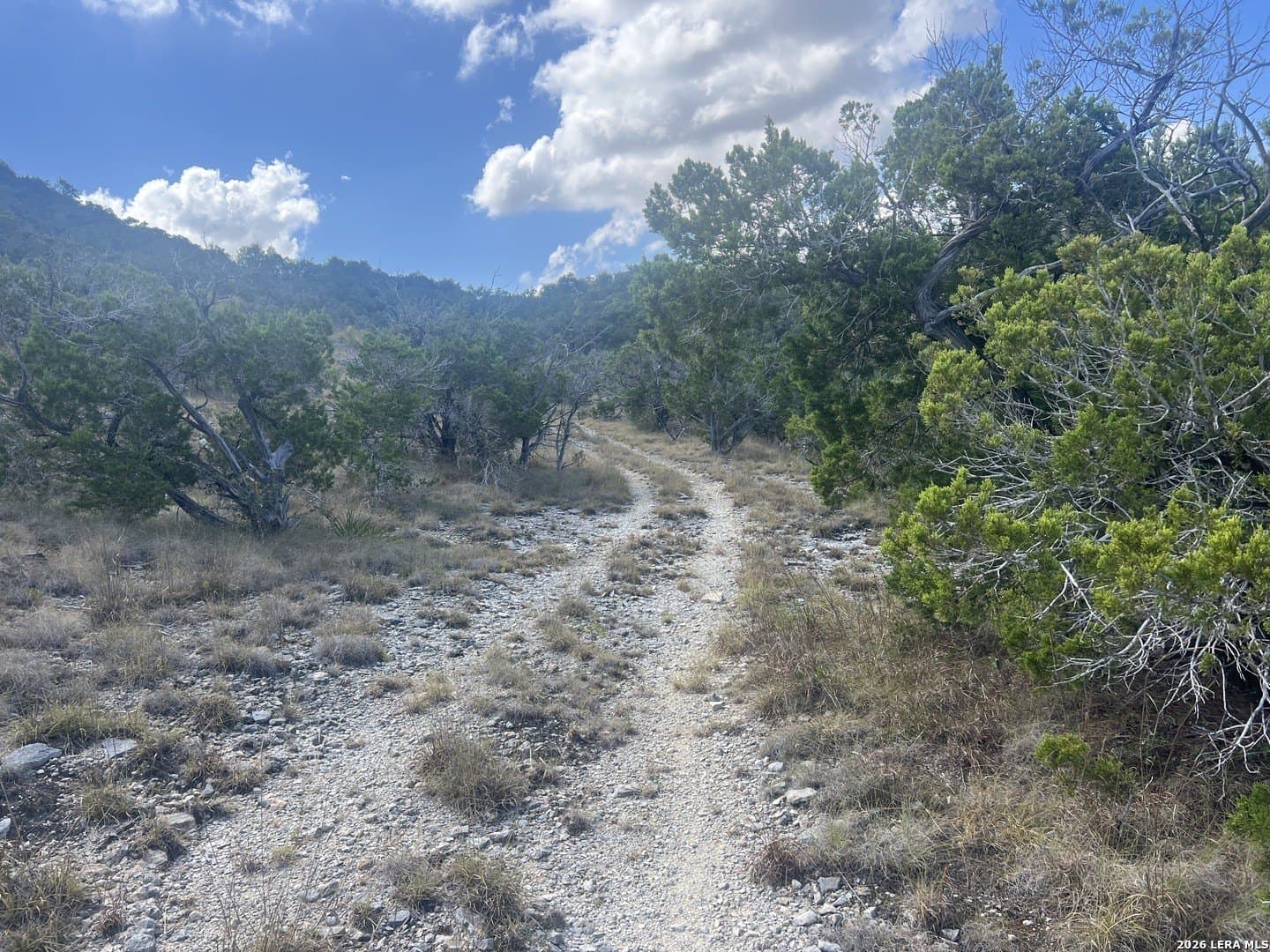 1.87 acres in Comal County - photo 14