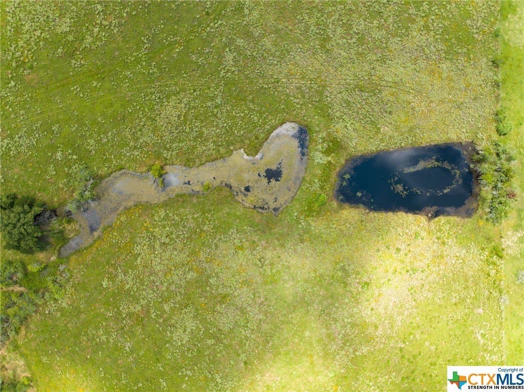 11 acres in Milam County - photo 9