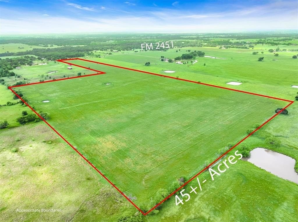 45 acres in Kaufman County gallery image 2