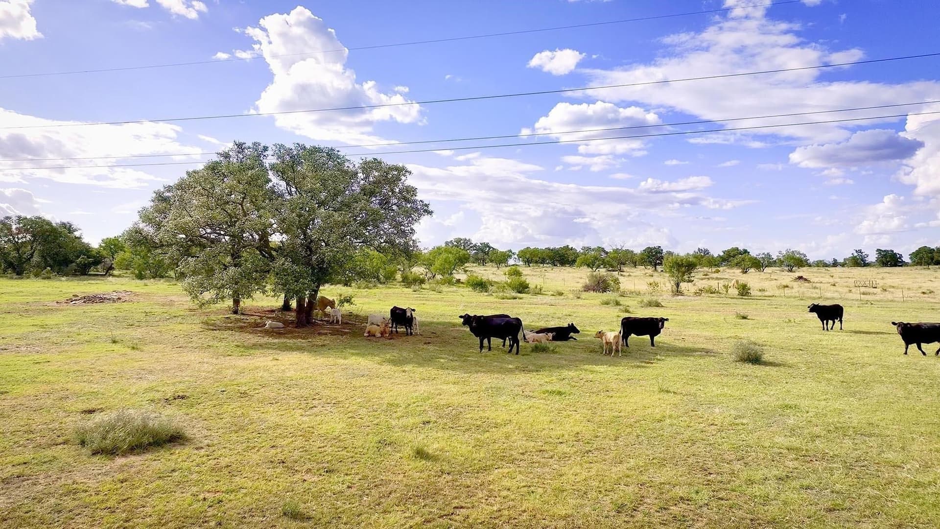 40 acres in Llano County