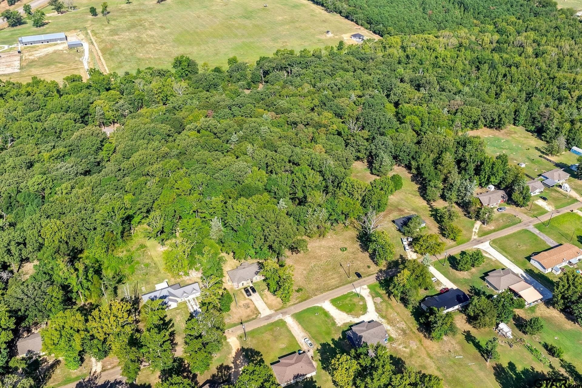 0.81 acres in Titus County - photo 8
