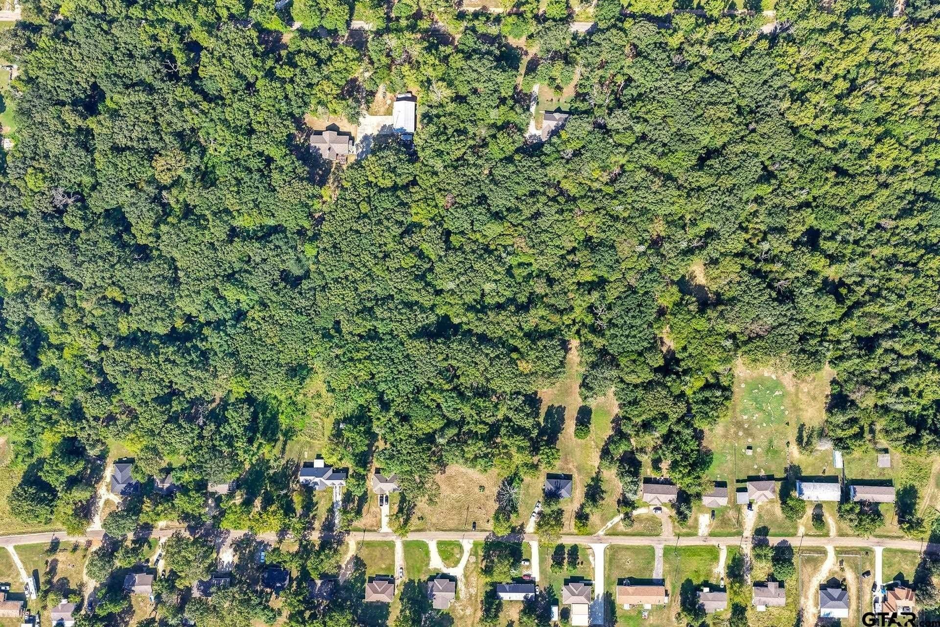 0.81 acres in Titus County - photo 17