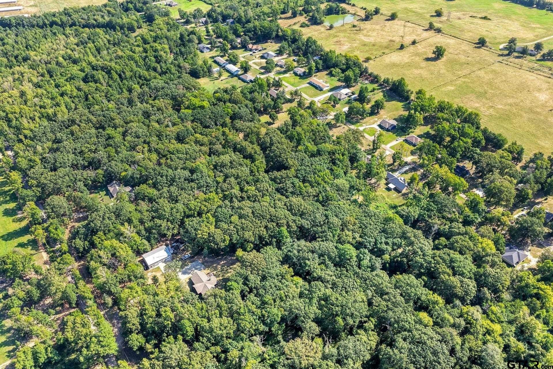 0.81 acres in Titus County - photo 13