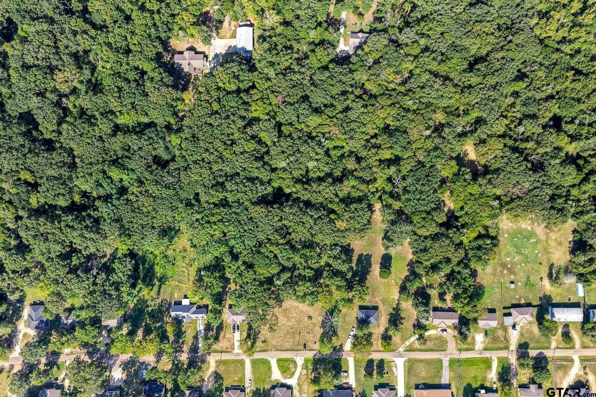 0.81 acres in Titus County - photo 18