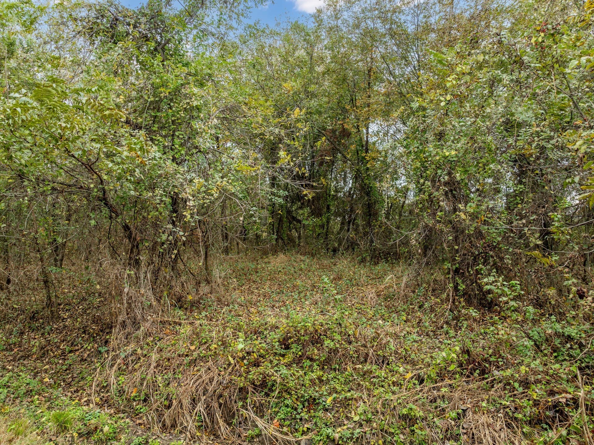 0.29 acres in Hill County - photo 5