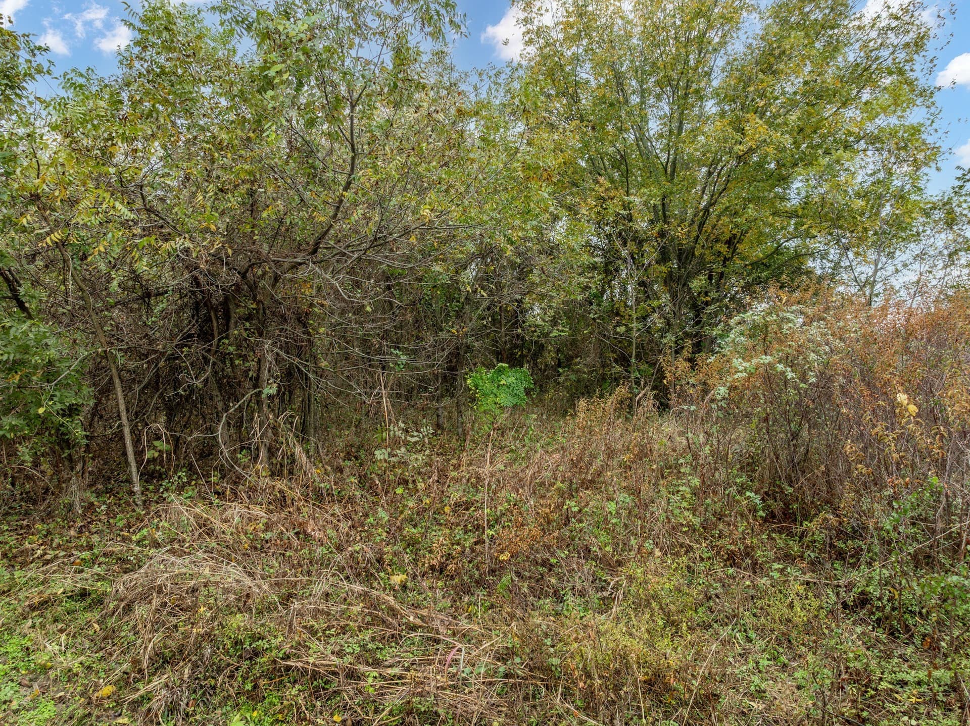 0.29 acres in Hill County - photo 4