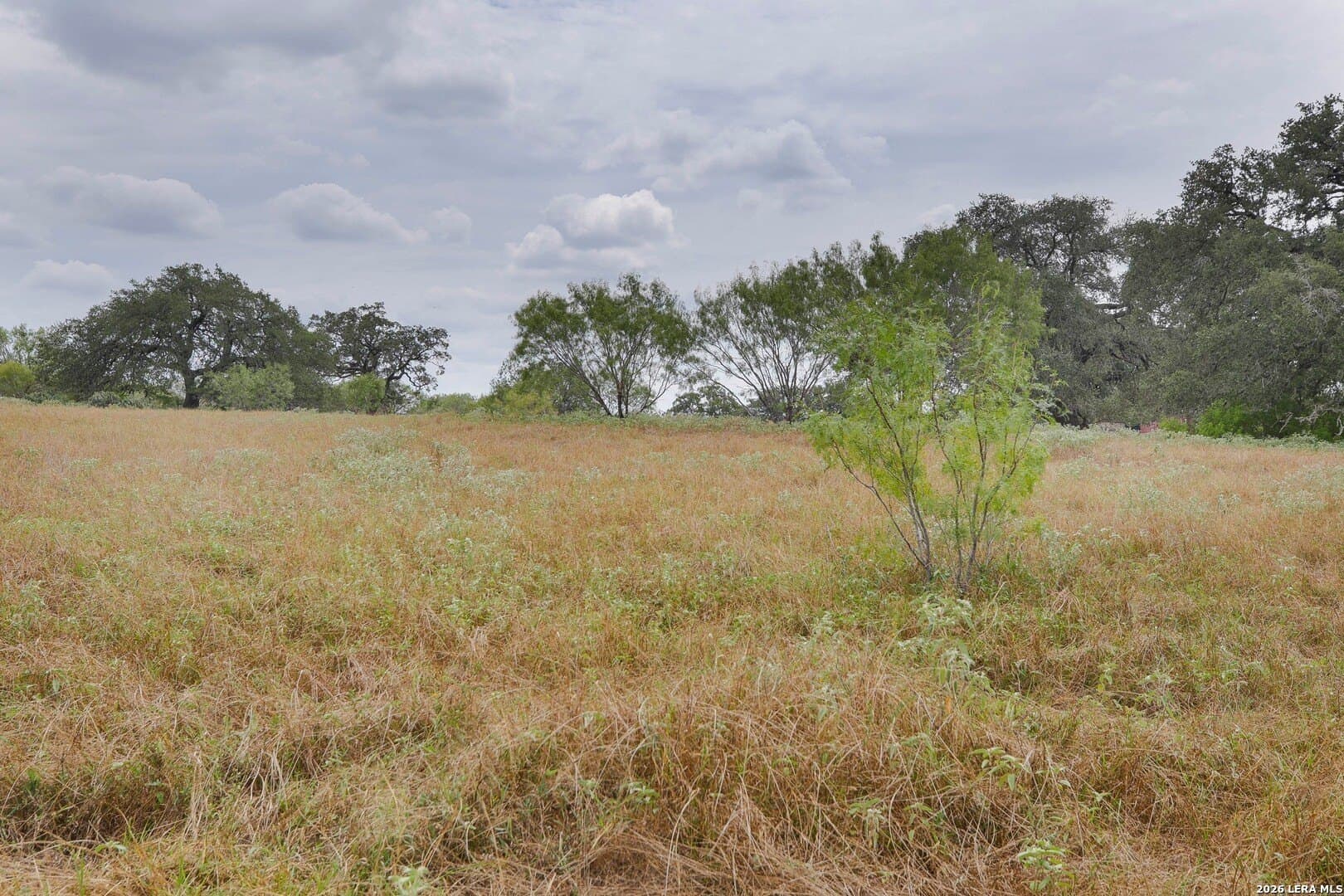 15.93 acres in Atascosa County - photo 43