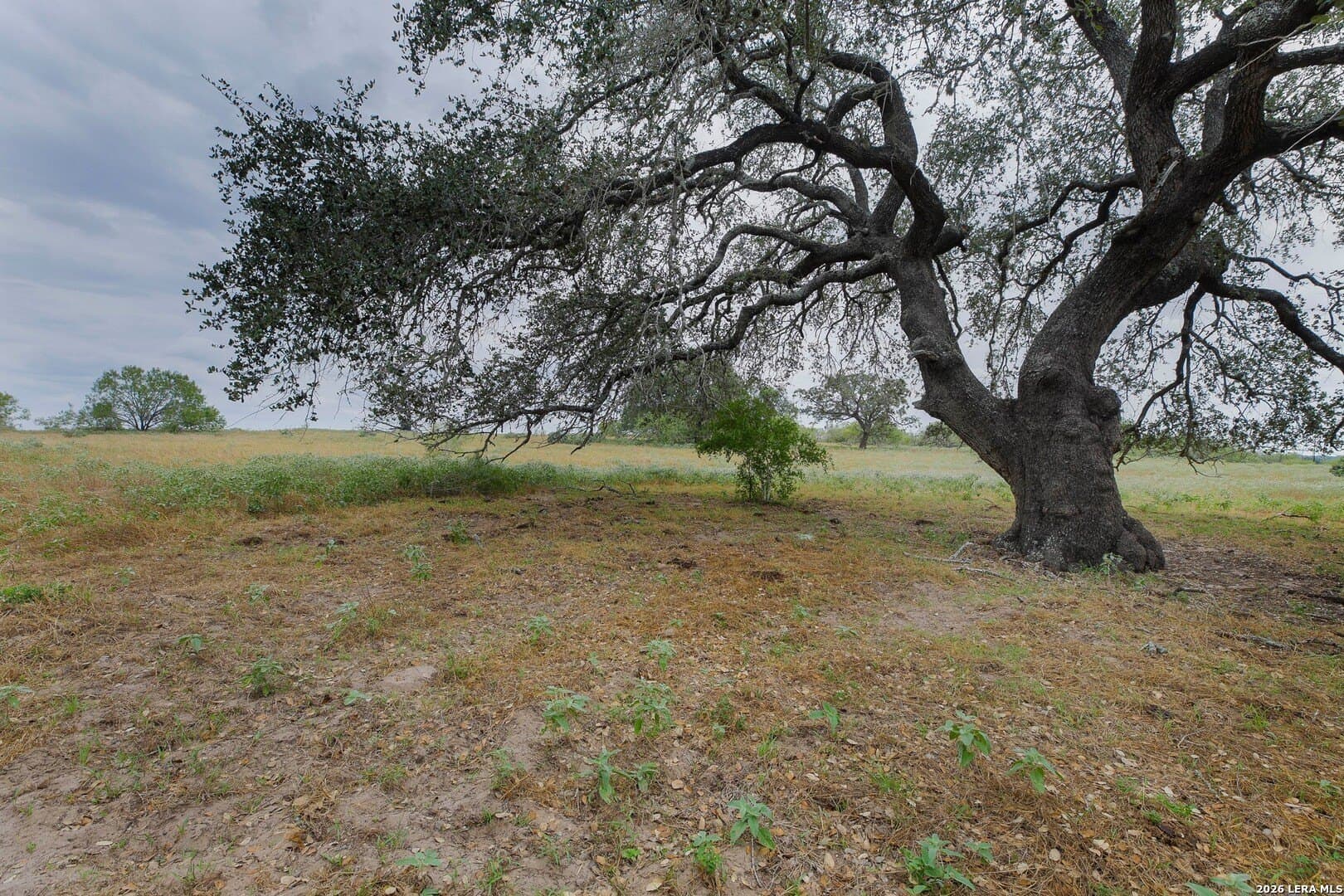 15.93 acres in Atascosa County - photo 48