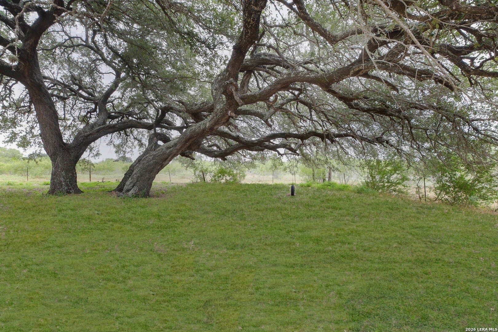 15.93 acres in Atascosa County - photo 34