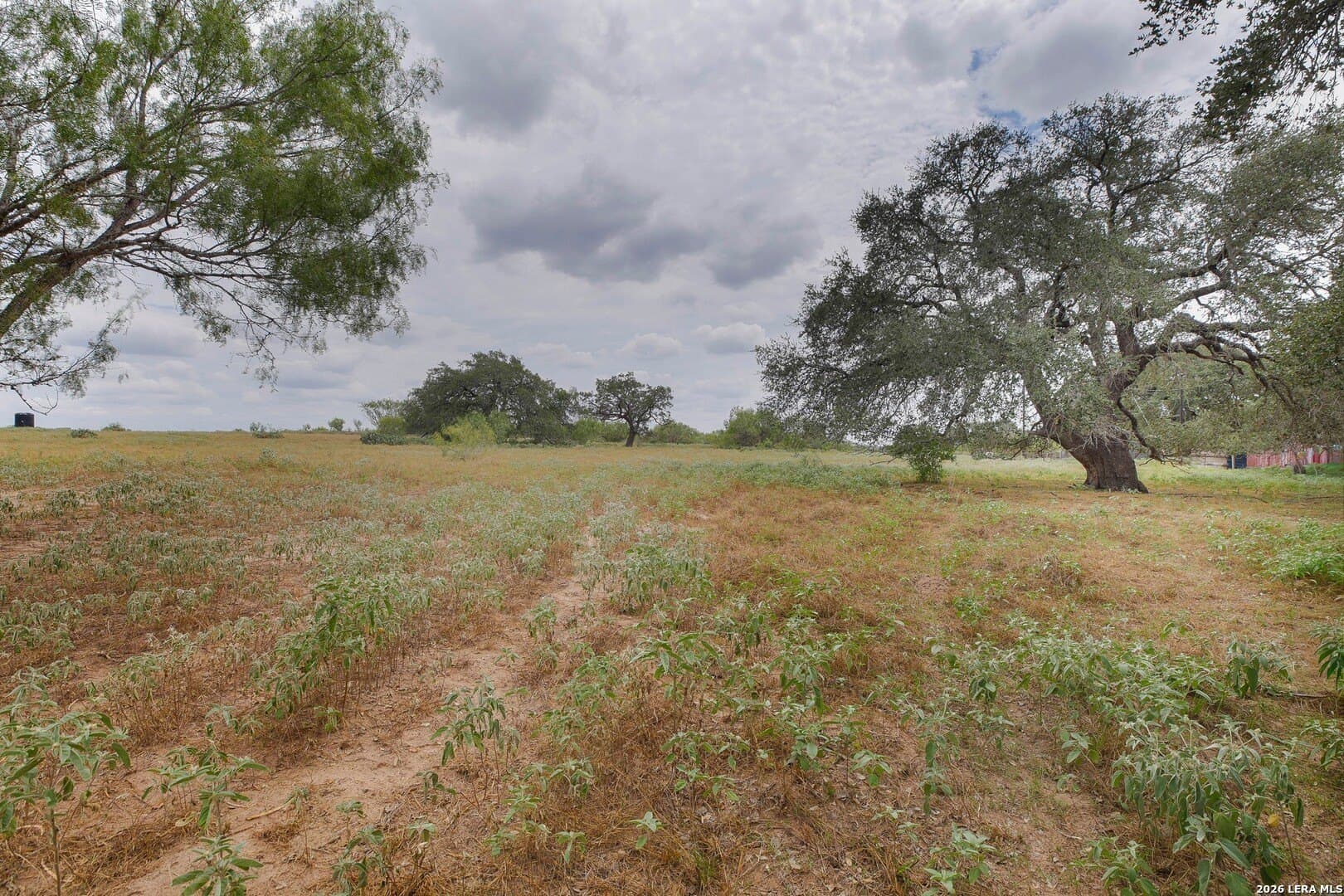 15.93 acres in Atascosa County - photo 47