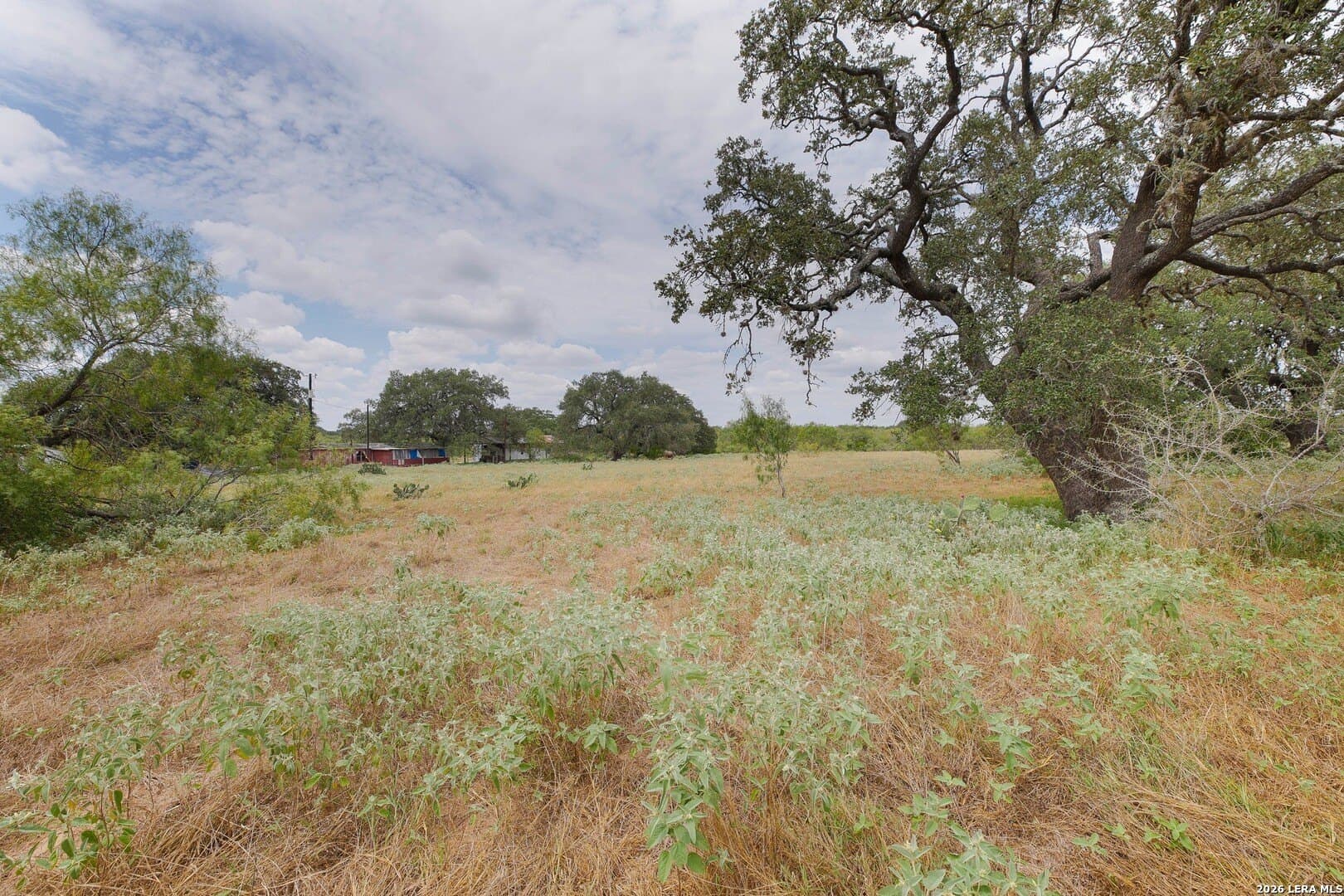 15.93 acres in Atascosa County - photo 41