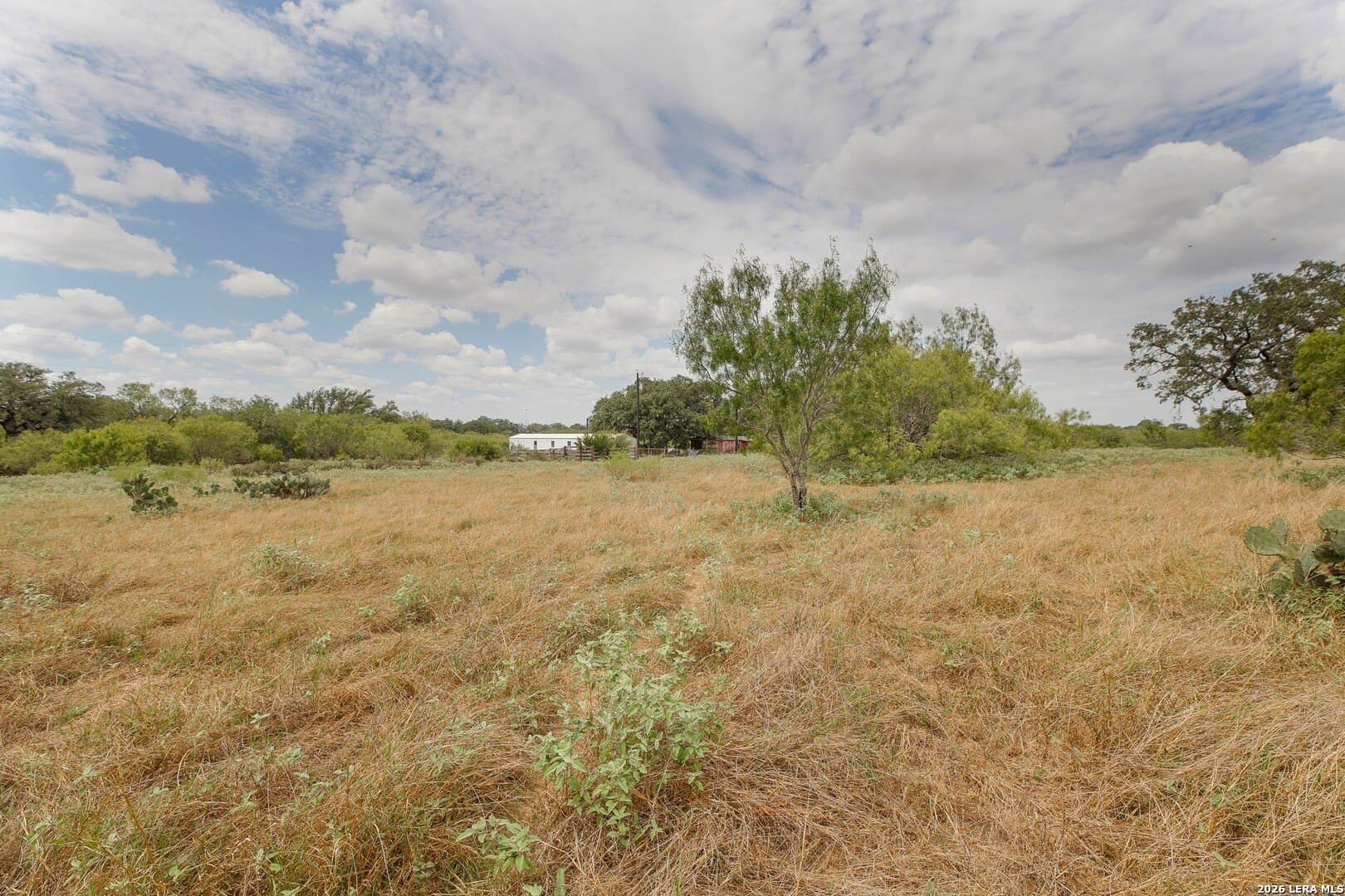 15.93 acres in Atascosa County - photo 38
