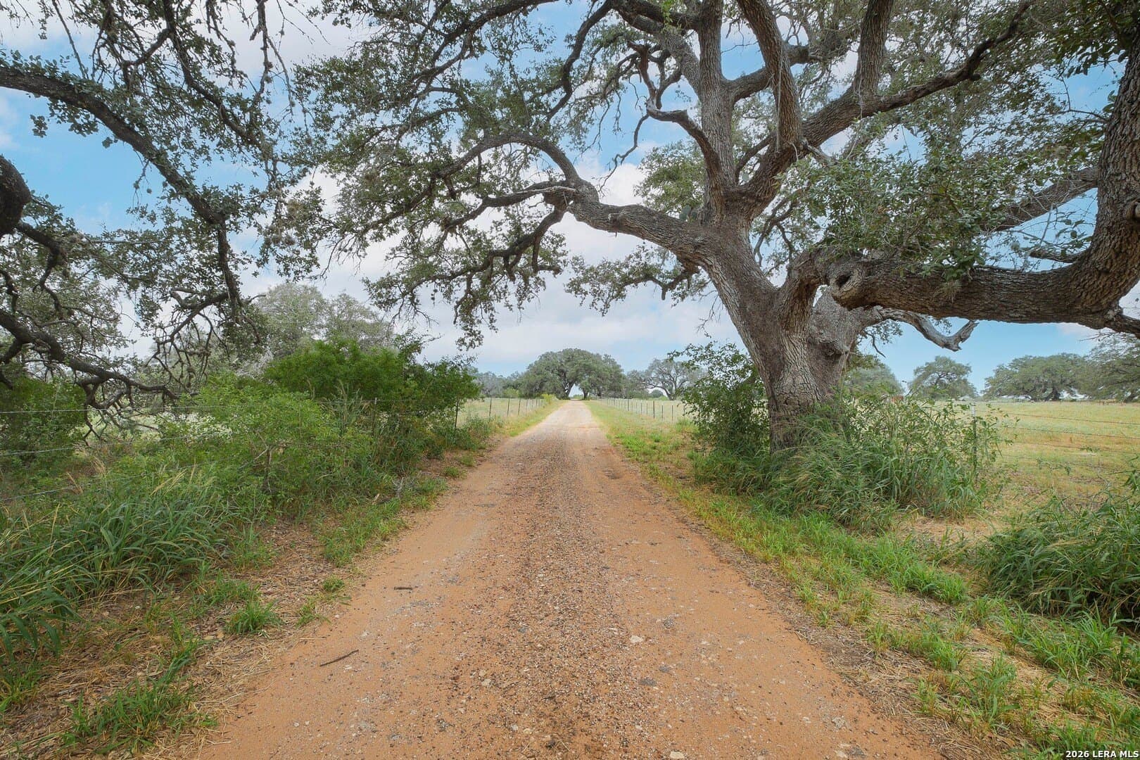 15.93 acres in Atascosa County - photo 57