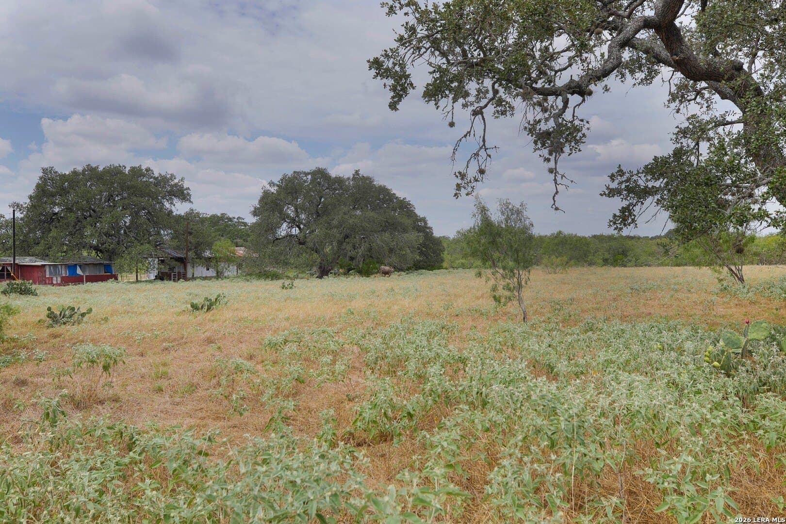 15.93 acres in Atascosa County - photo 42