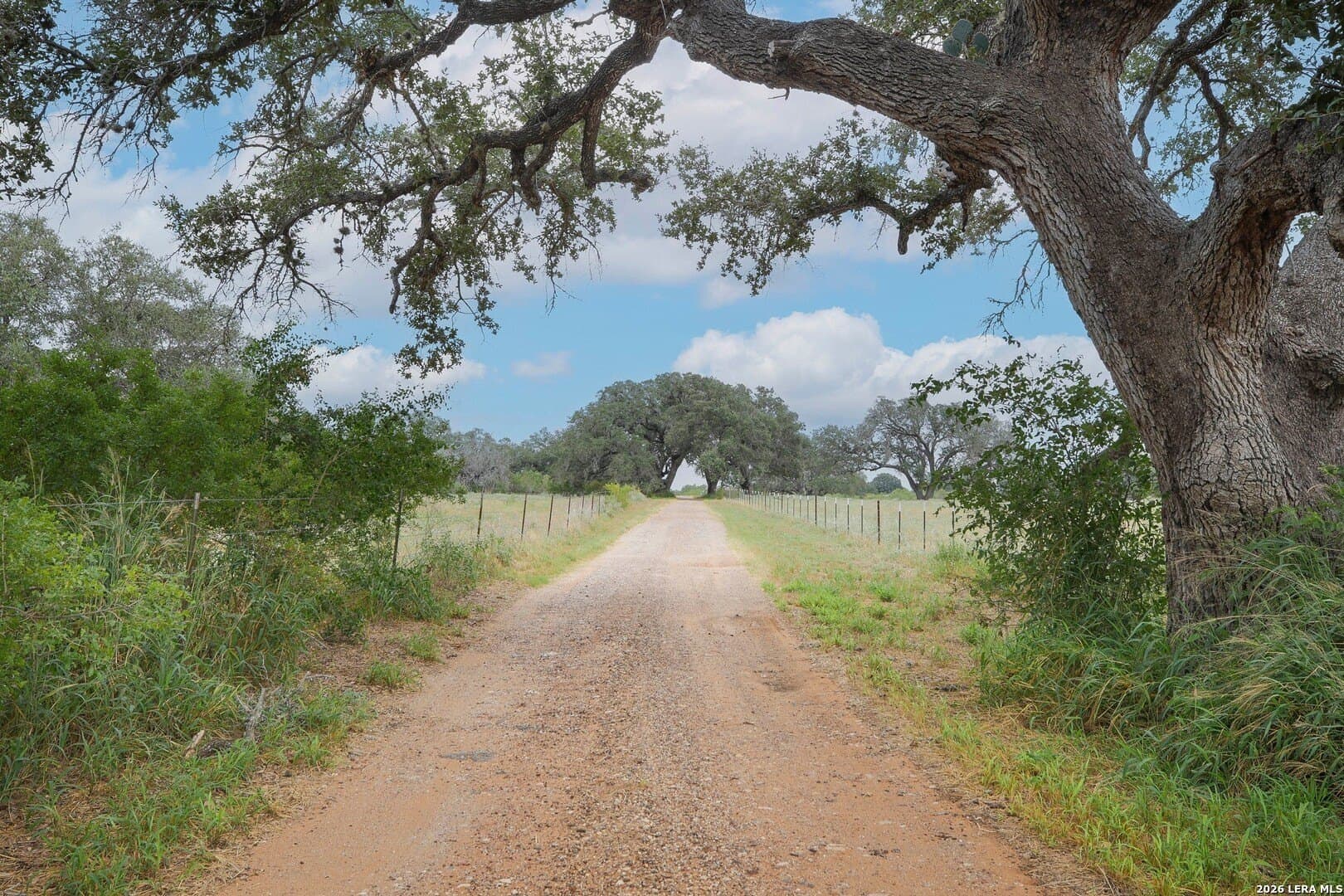 15.93 acres in Atascosa County - photo 58