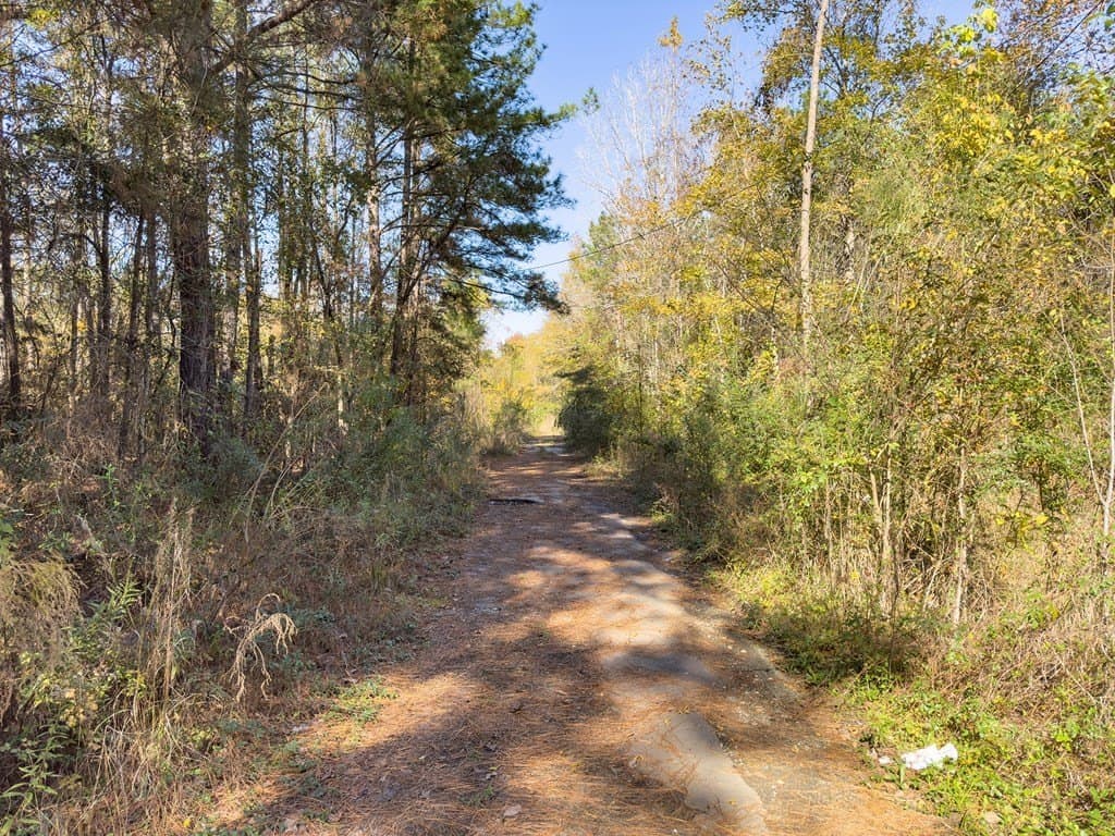 0.31 acres in Texas County - photo 6