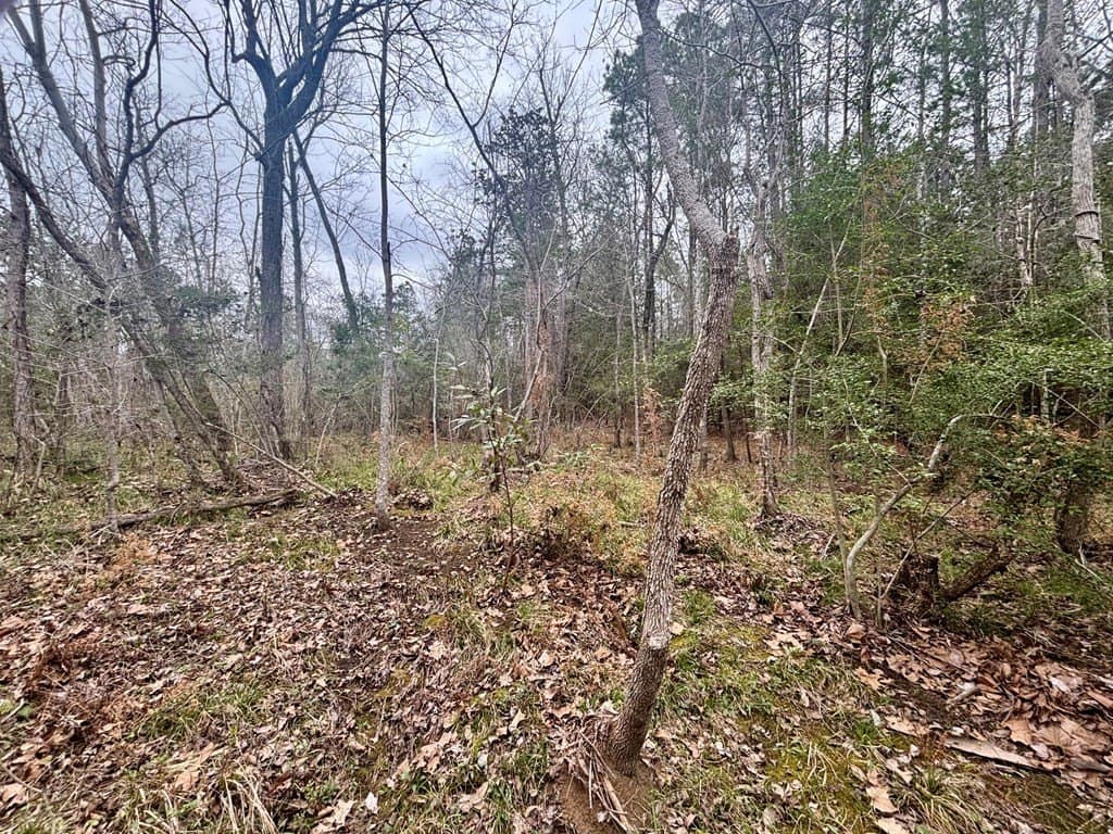 1.99 acres in Texas County featured view
