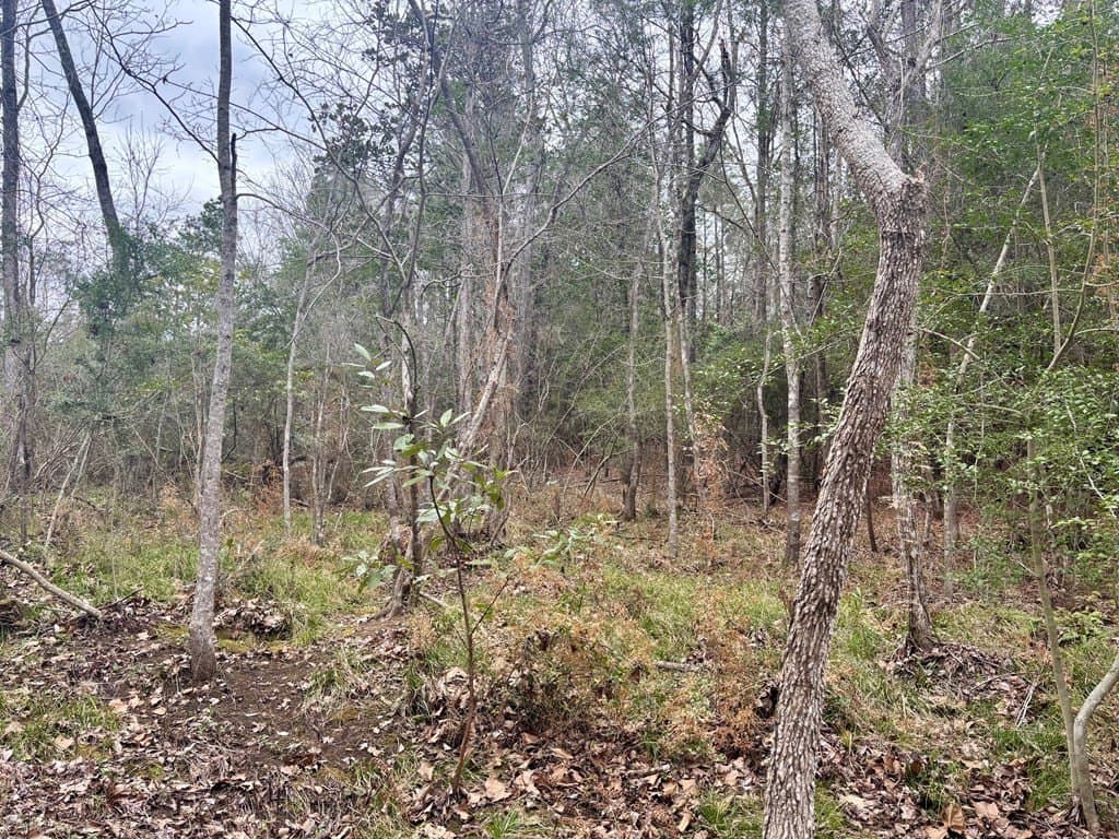 1.99 acres in Texas County gallery image 3