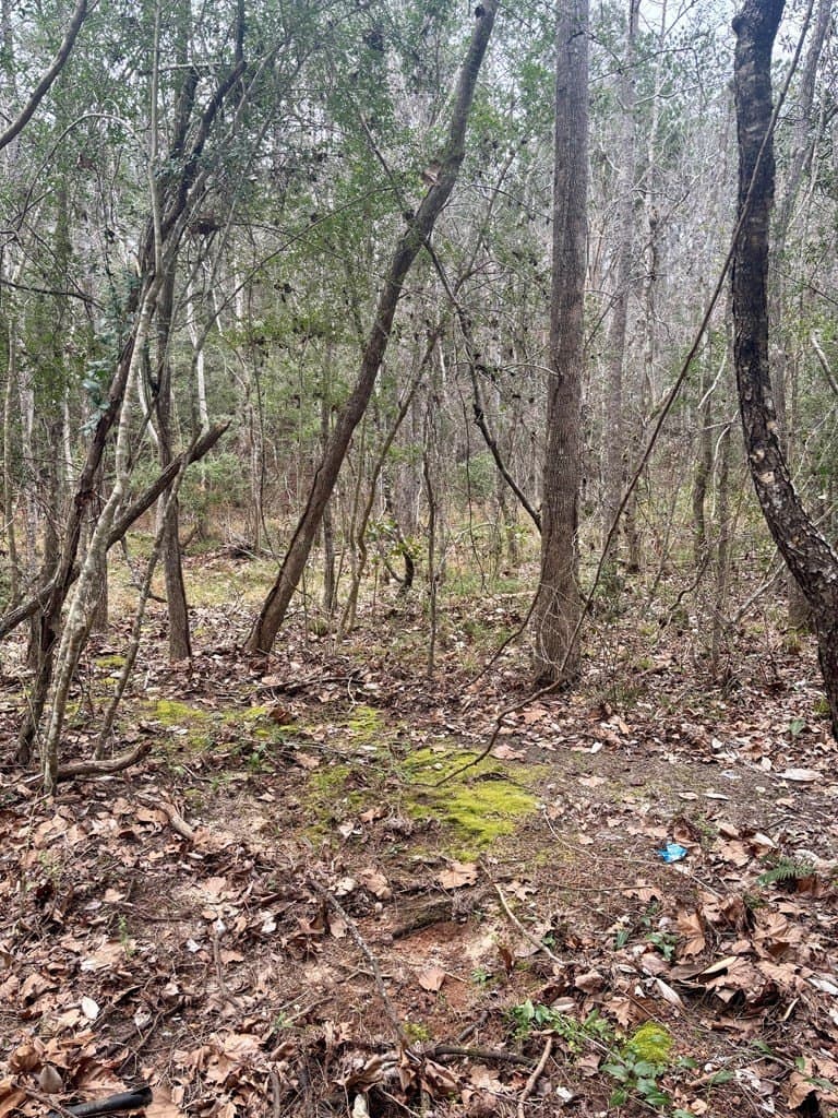 1.99 acres in Texas County gallery image 2