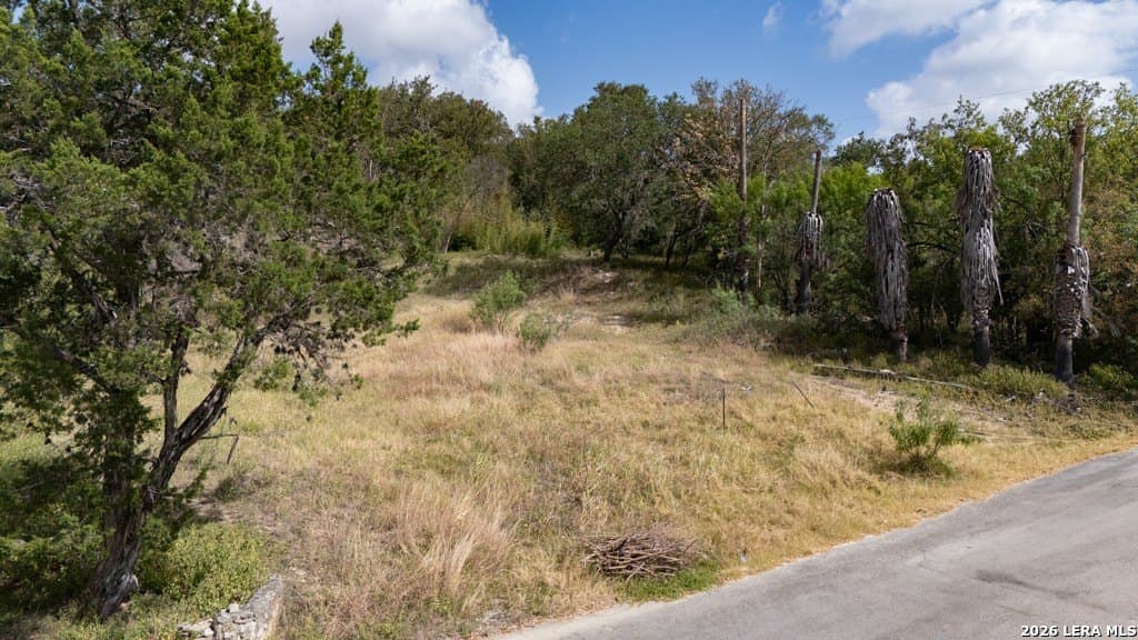 0.15 acres in Hays County - photo 6