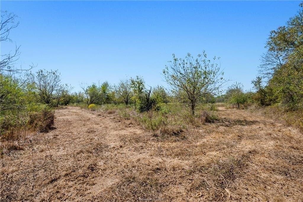 64.47 acres in Burleson County - photo 12