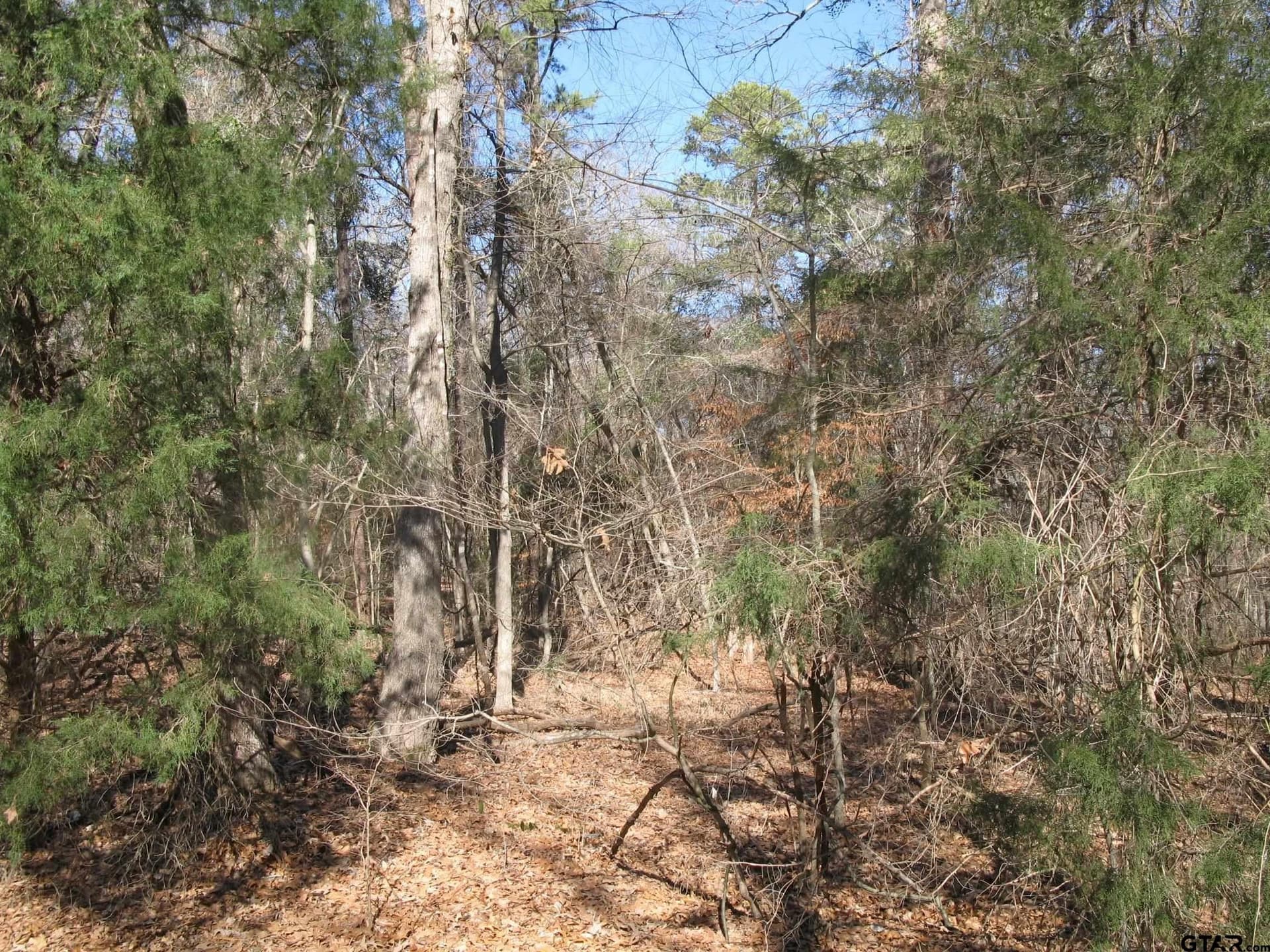 1.5 acres in Smith County - photo 9