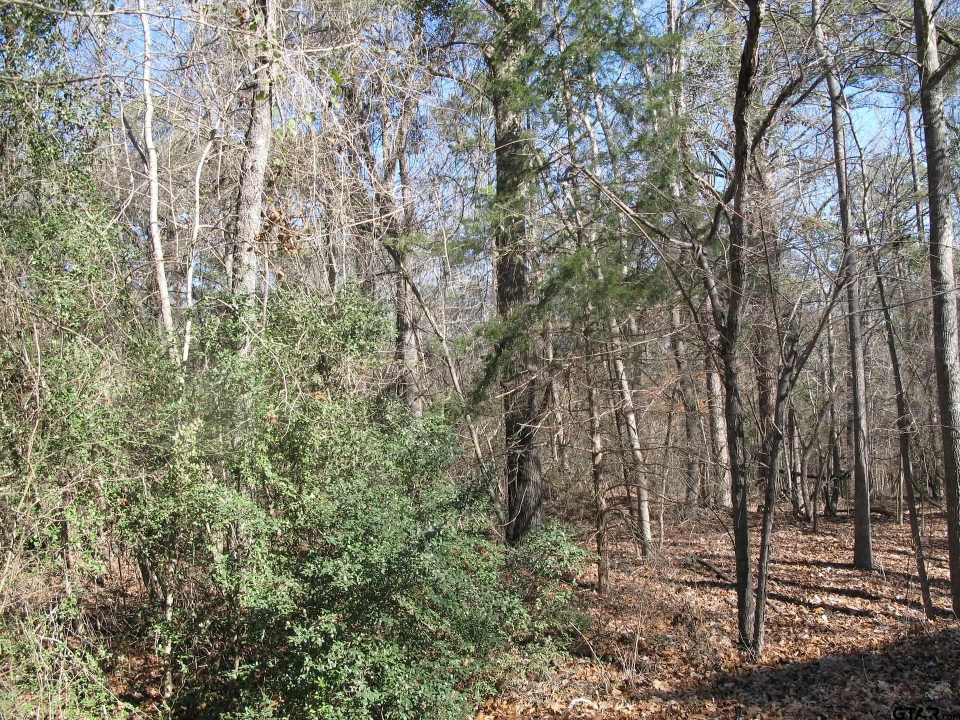 1.5 acres in Smith County