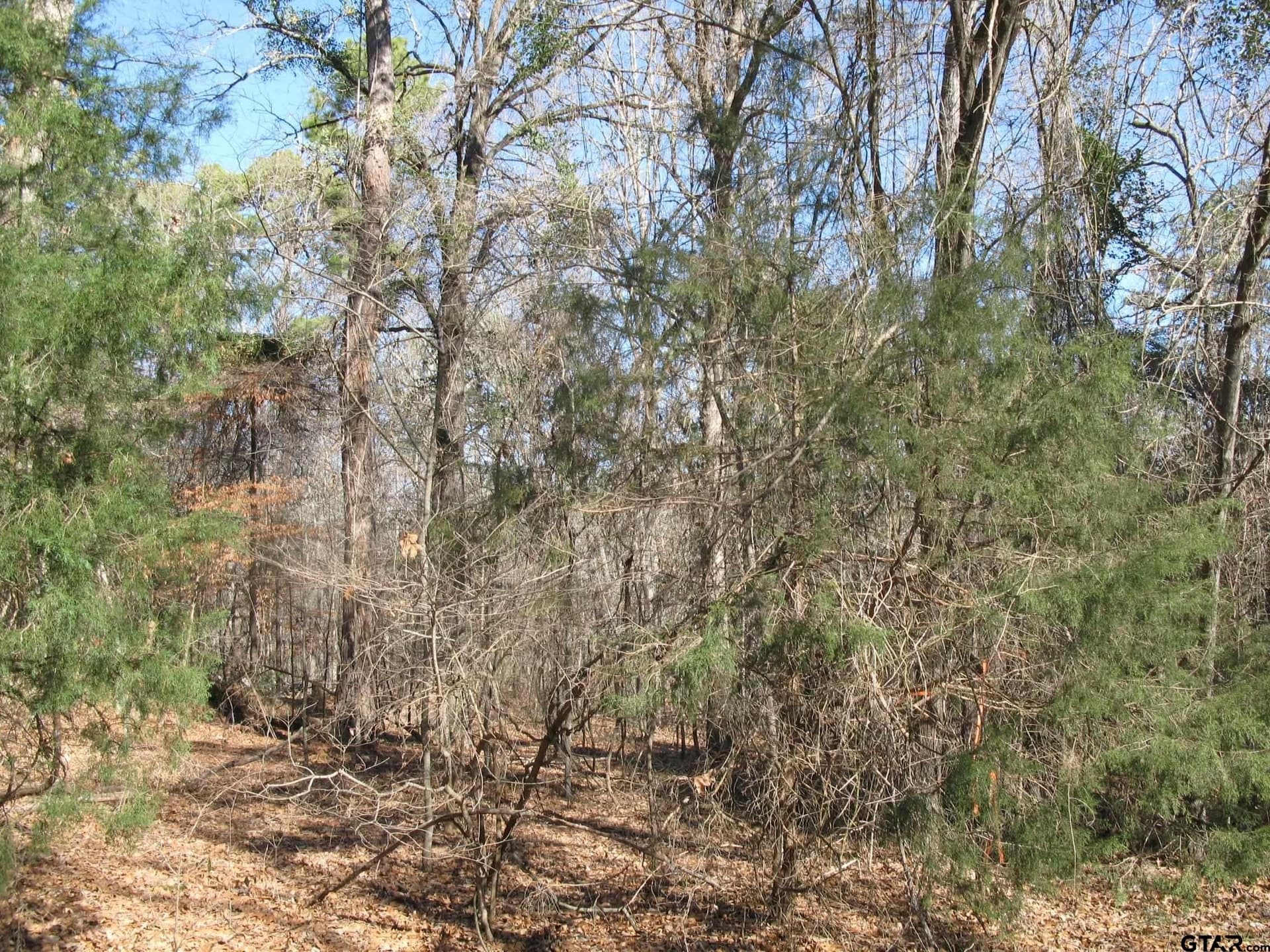1.5 acres in Smith County - photo 7