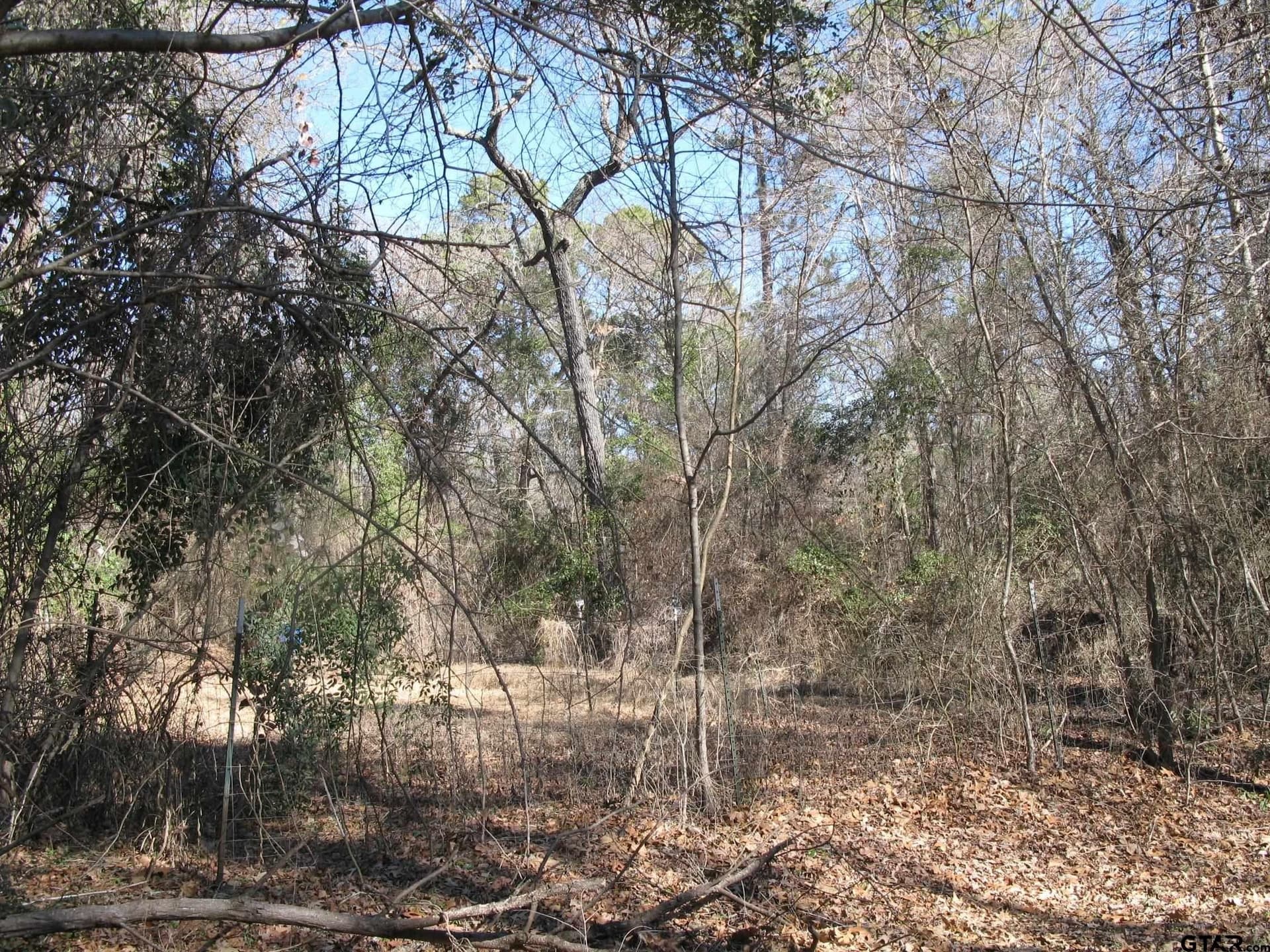 1.5 acres in Smith County - photo 2