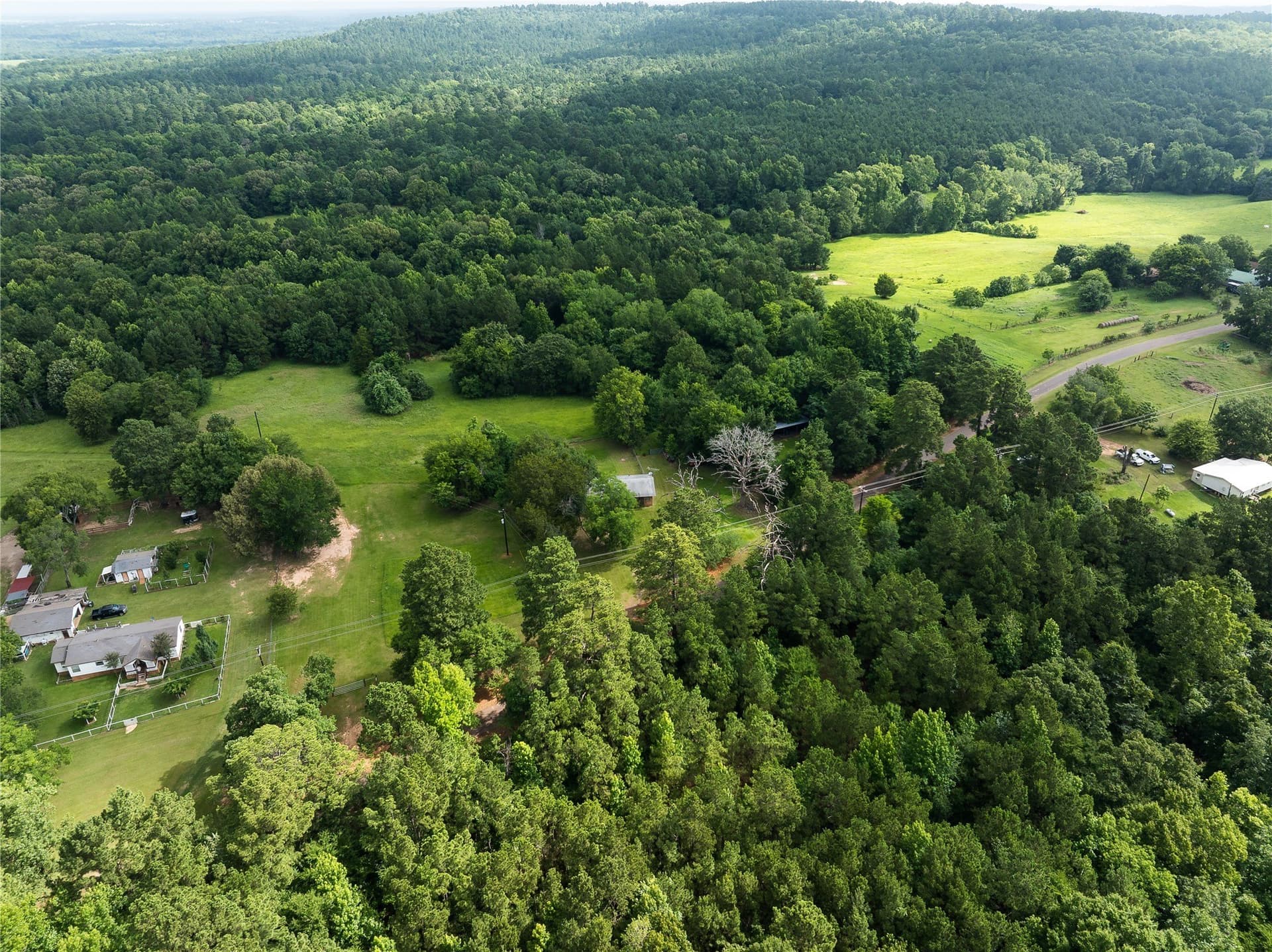 20 acres in Anderson County gallery image 2