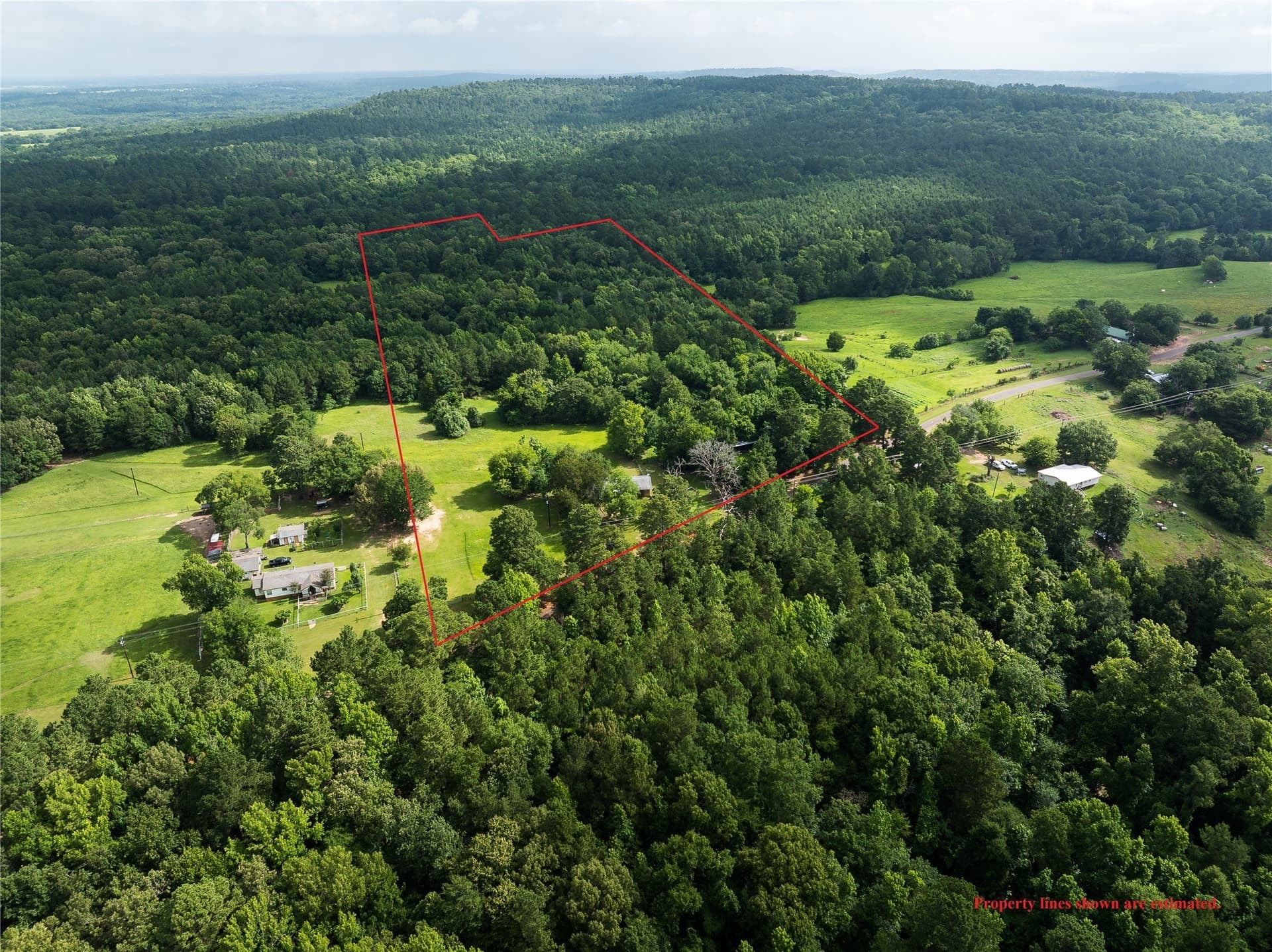 20 acres in Anderson County gallery image 3