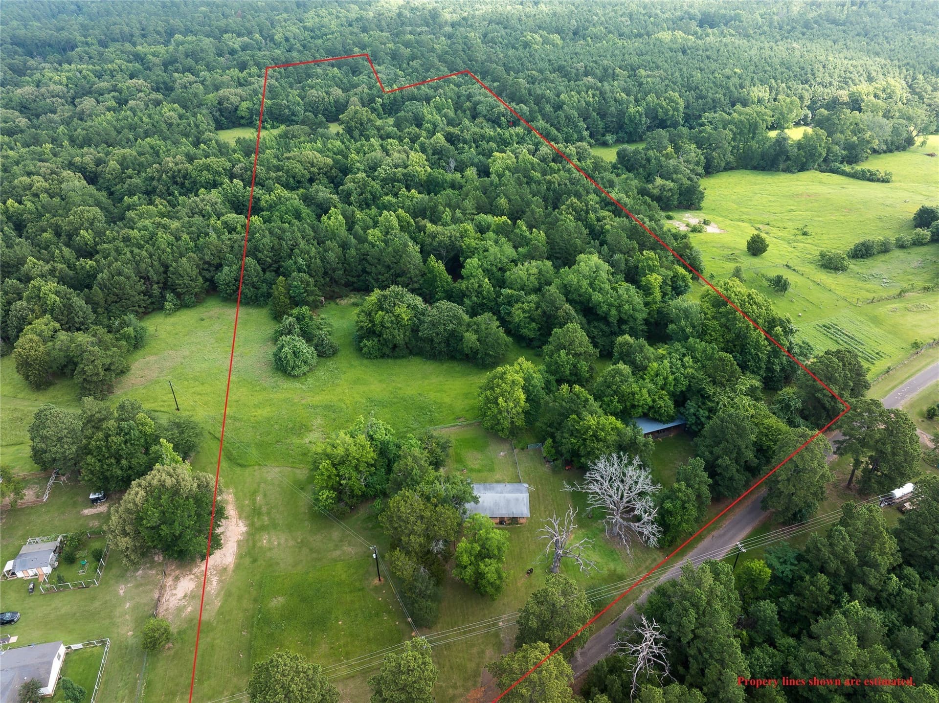 20 acres in Anderson County gallery image 4