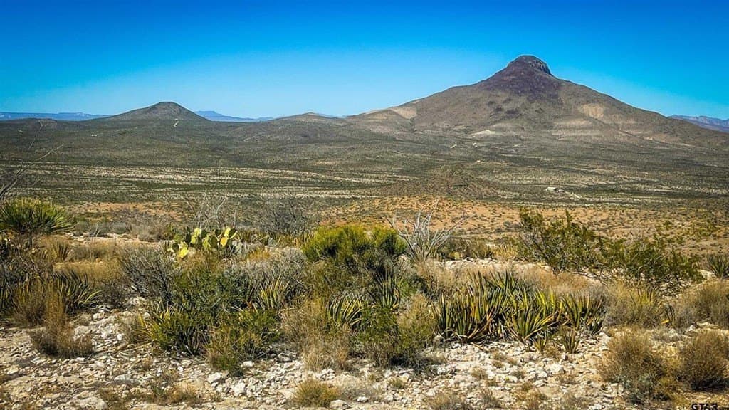 20 acres in Brewster County gallery image 3