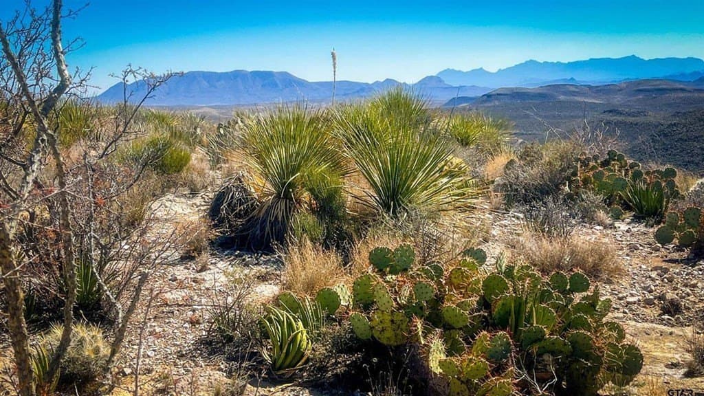 20 acres in Brewster County - photo 8
