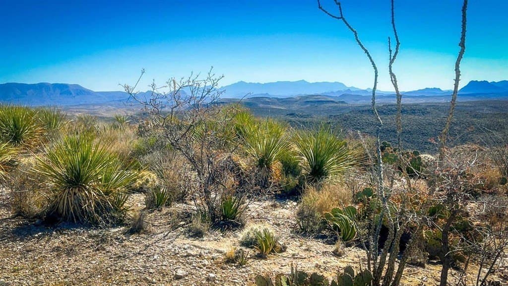 20 acres in Brewster County gallery image 4