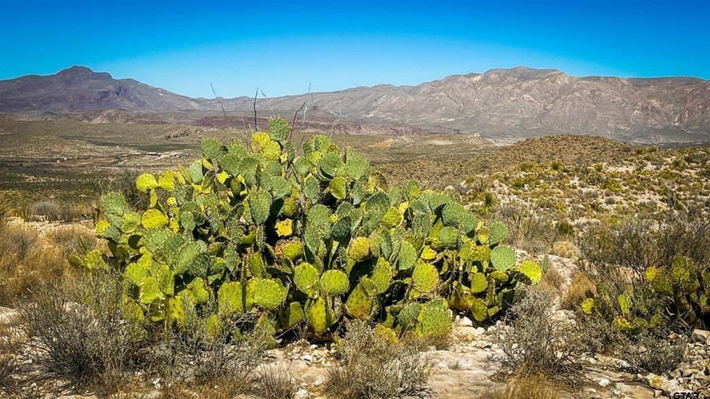 20 acres in Brewster County - photo 9