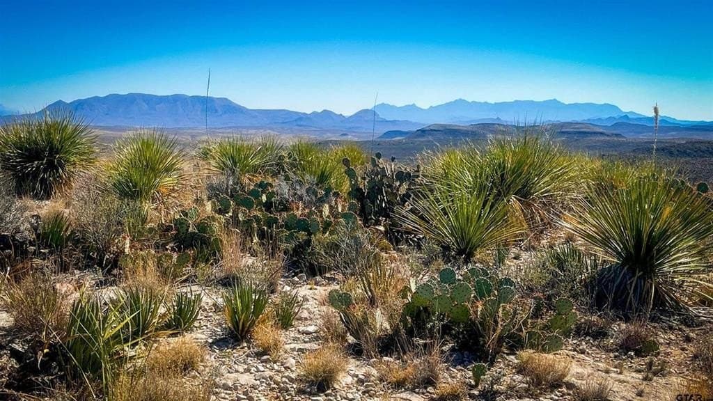 20 acres in Brewster County gallery image 2