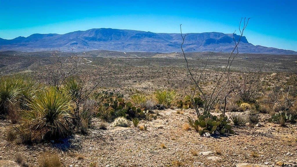 20 acres in Brewster County featured view