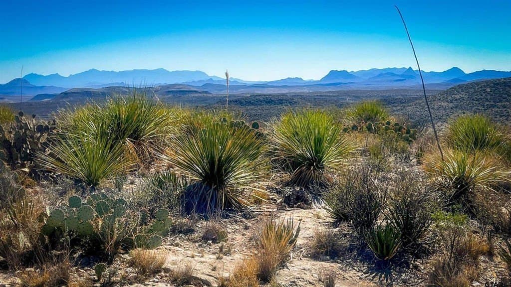 20 acres in Brewster County - photo 7