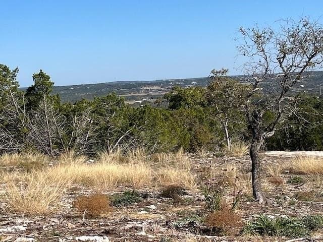 10.02 acres in Gillespie County gallery image 2