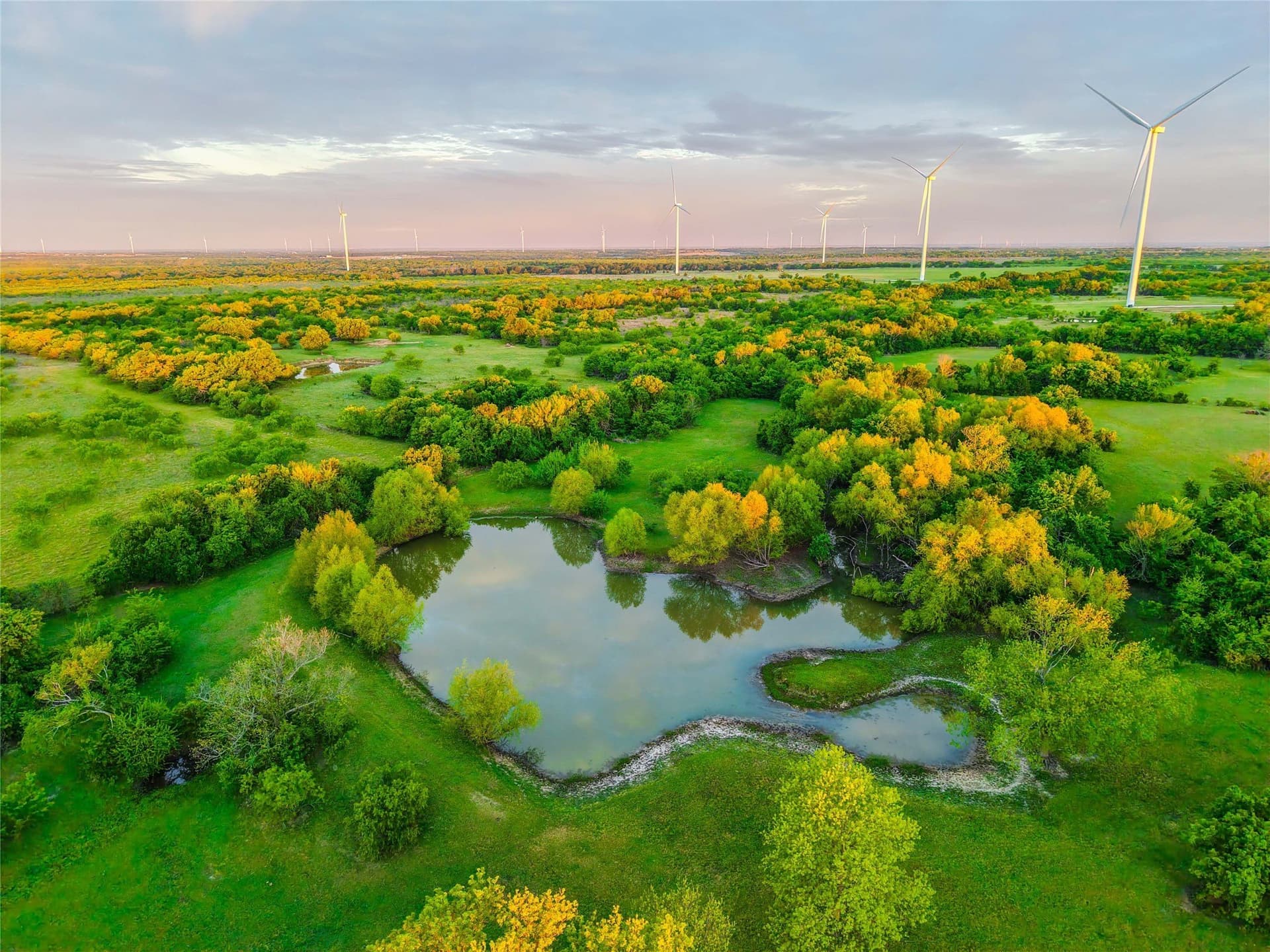 80.13 acres in Hill County - photo 8